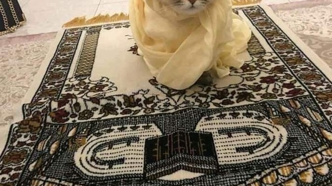 Düzenli namaz kılanınız var mı?