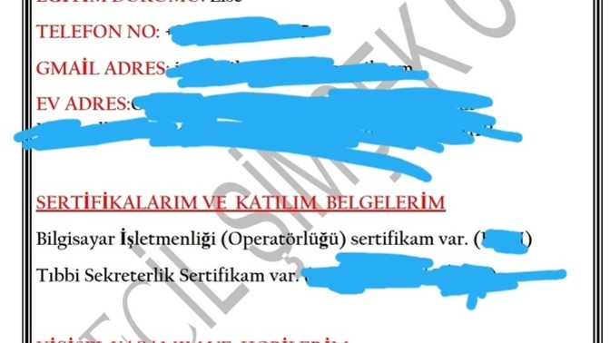 Kendime CV hazırladım, bu şekilde iyi mi?