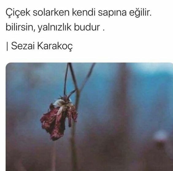 Yalnızlık budur