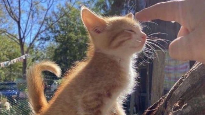 Bir insanın ruhunu nasıl görebiliriz?