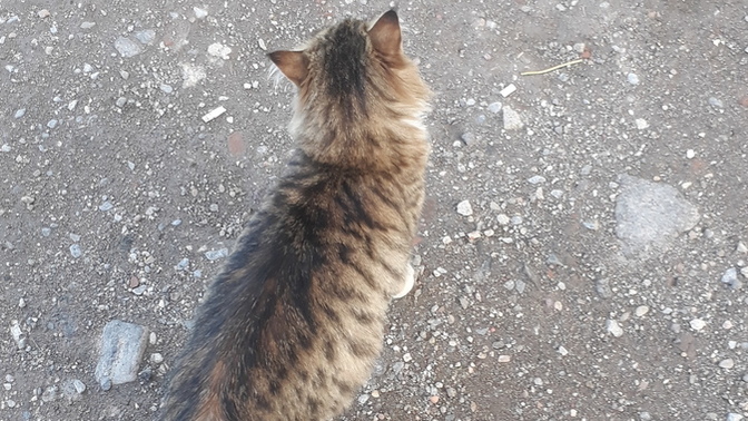 Son dönemde yeni başlangıçlar yaptınız mı?