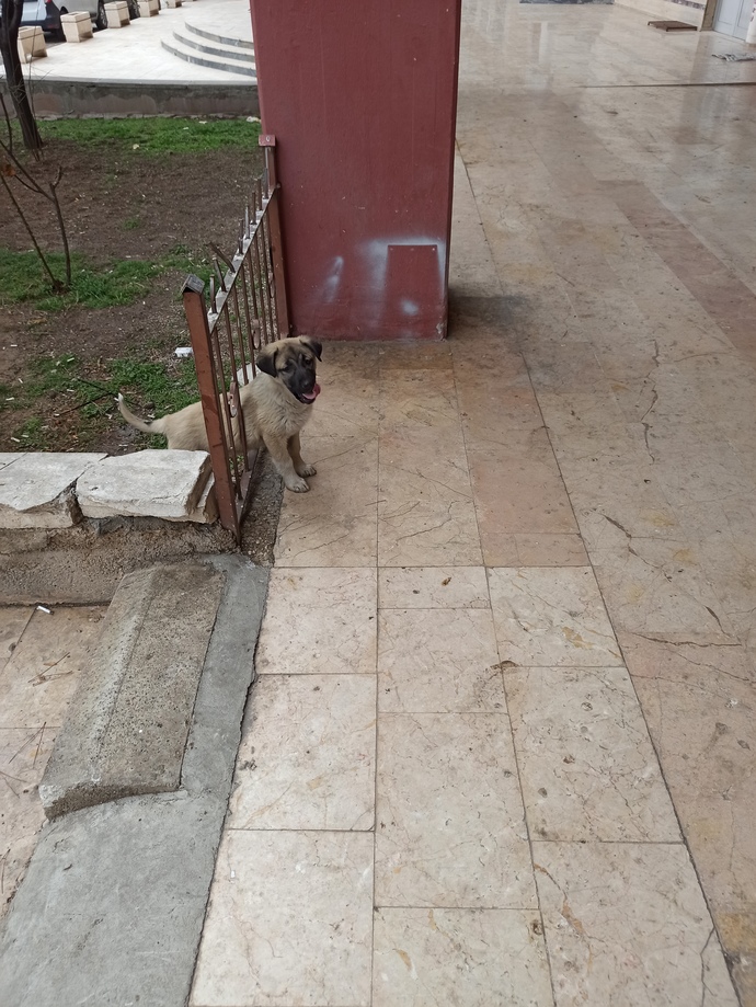 Sizce de hayat bazen çok acımasız değil mi?