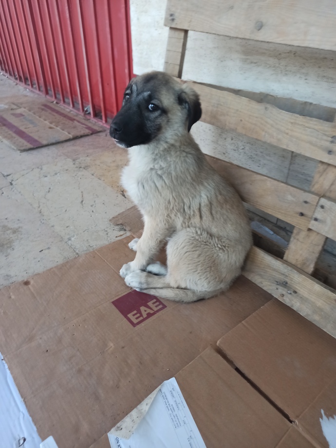 Sizce de hayat bazen çok acımasız değil mi?