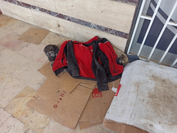 Sizce de hayat bazen çok acımasız değil mi?