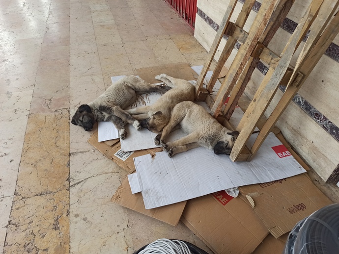 Sizce de hayat bazen çok acımasız değil mi?