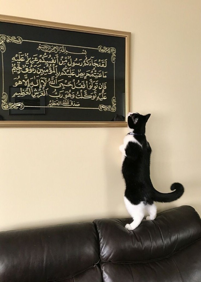 Ramazanda hangi özelliğini değiştirmek istiyorsun?