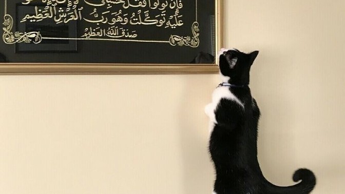 Ramazan'da hangi özelliğini değiştirmek istiyorsun?