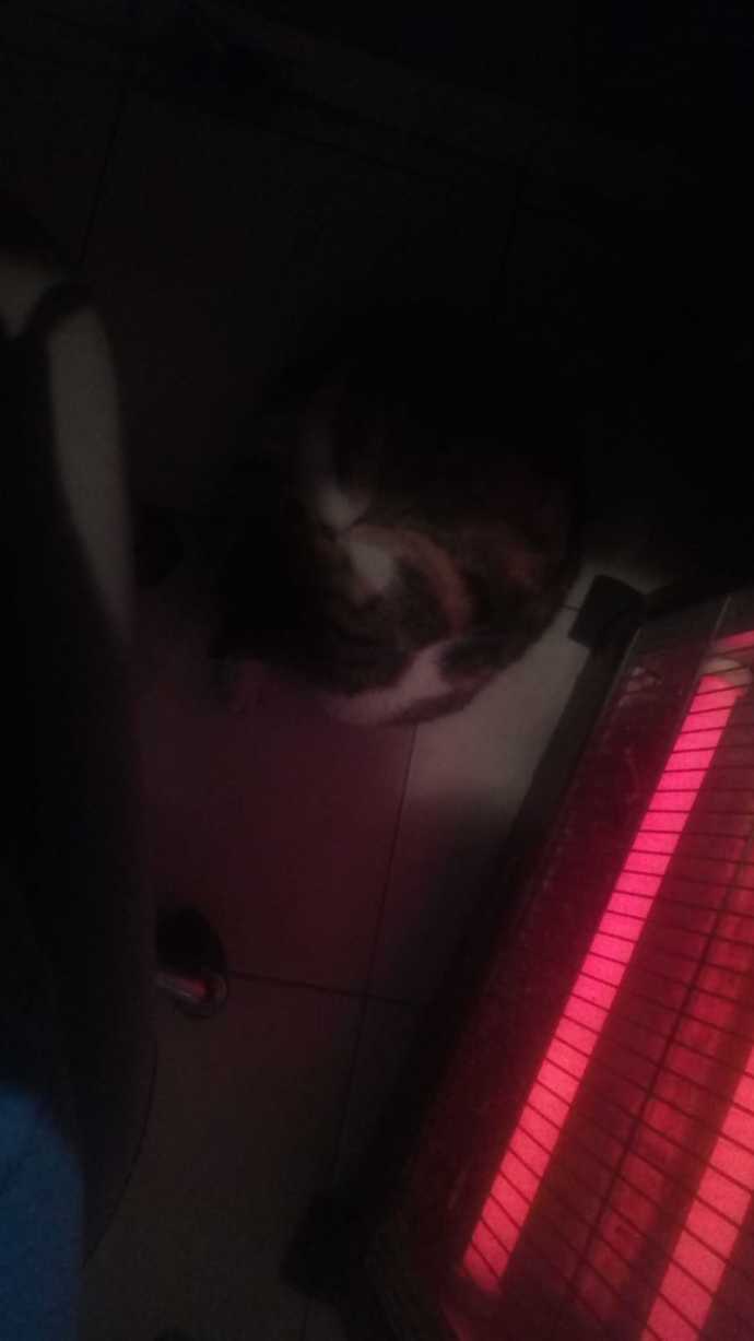 Gece uykusu mu gündüz uykusu mu?