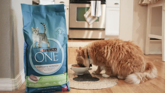 Purina One kedi maması kullanan var mı?