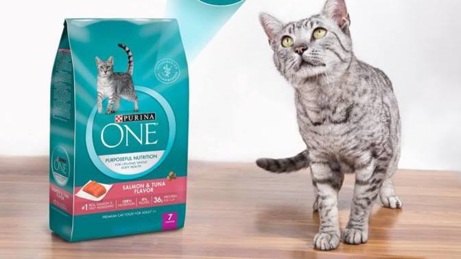 Purina One kedi maması kullanan var mı acaba?