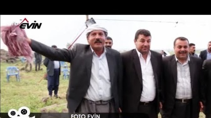 Gittiğin düğünlerde oyunlara katılır mısın?