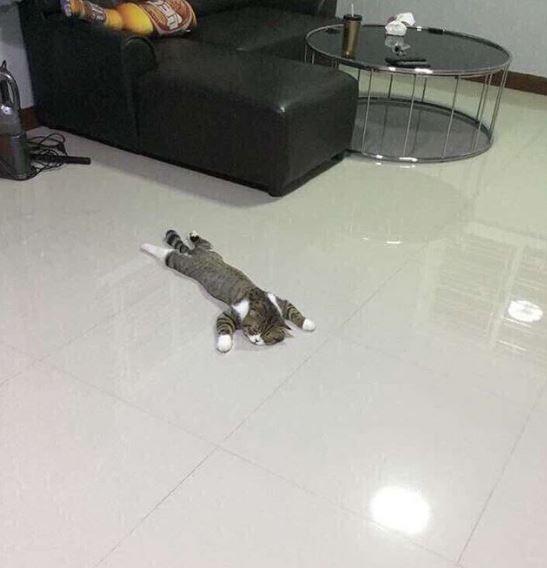 Günün fotoğrafı olsun nasıl sizce?