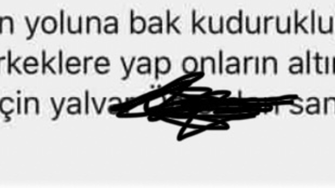 Ne Anlamda dedi anlamadım?