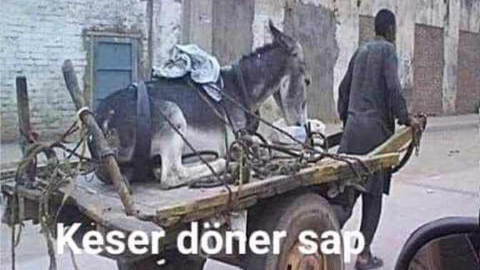 En son ne için pişman oldun?