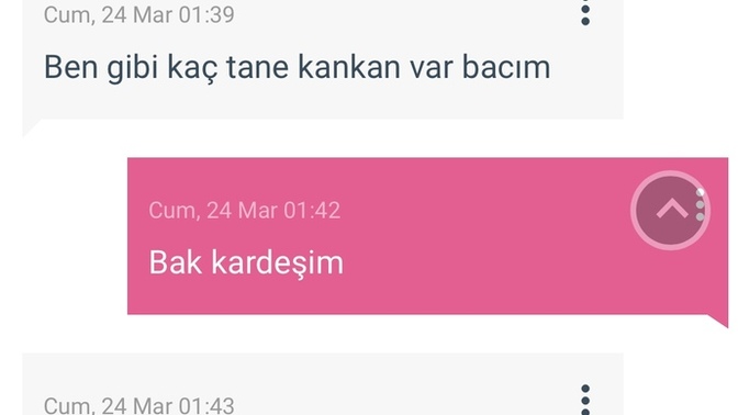 Daha önce Sülük gibi yapışan biri mesaj attım diye aşık olduğumu zanettmiş bu vizyonsuzluk değil mi?