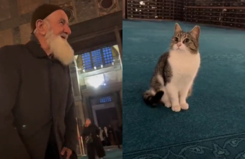 Yaşlı amcanın kediyi Yaradana kurban olayım diye sevmesi! Böyle sıcak görüntülere hasret çekenler kimler?
