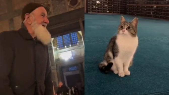 Yaşlı amcanın kediyi "Yaradana kurban olayım" diye sevmesi! Böyle sıcak görüntülere hasret çekenler kimler?