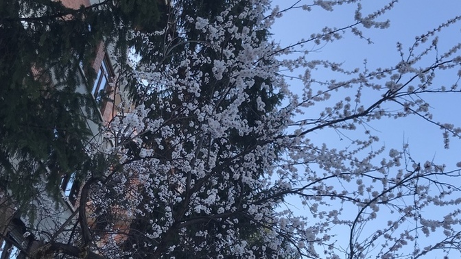Sizin oralarda havalar nasıl?
