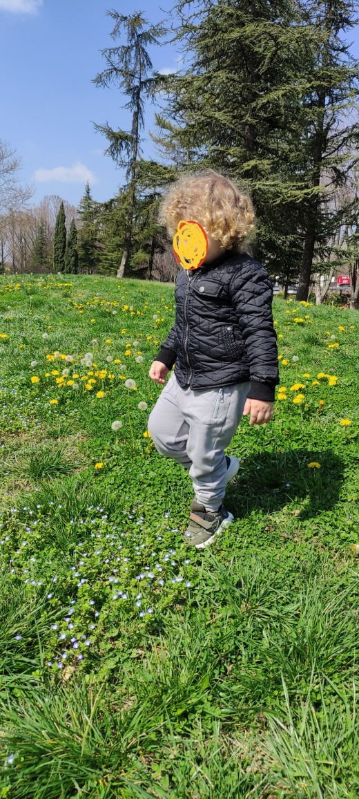 Hava mis gibi, bugün neler yapacaksınız?