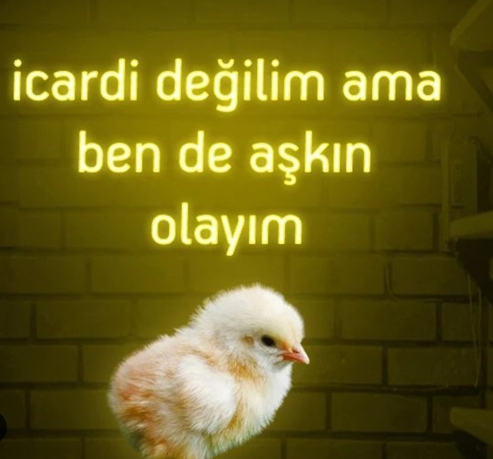 Aşkın olayım dediğiniz biri var mı?