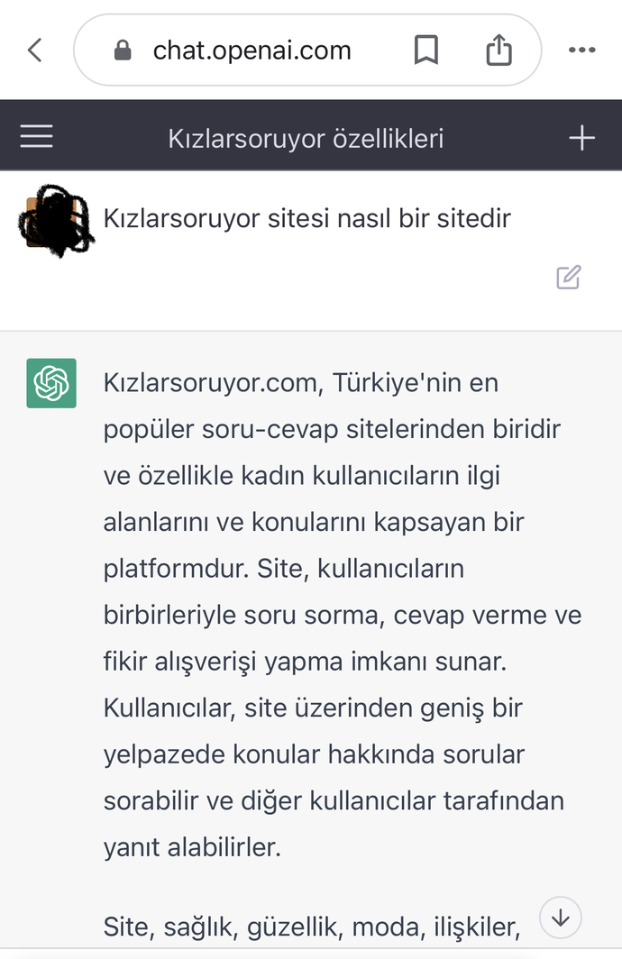Chatgpt hiç denediniz mi😄?