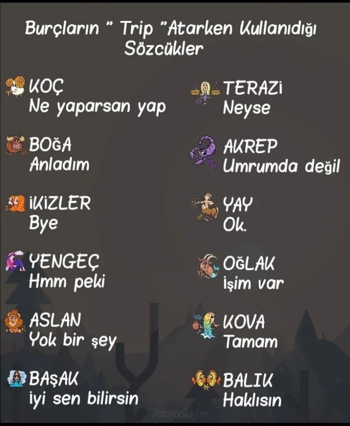 Burcuna göre senin trip atarken kullandığın sözcükler neler?