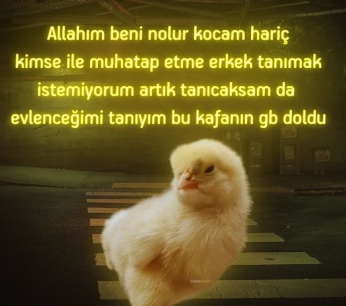 Beyniniz ikili ilişkiler için kaç GB alan bıraktı?