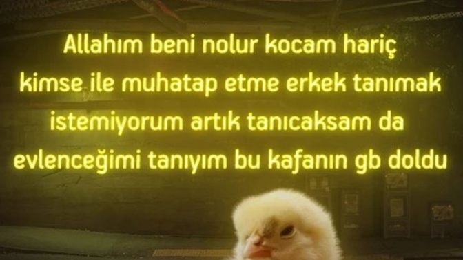 Beyniniz ikili ilişkiler için kaç GB alan bıraktı?
