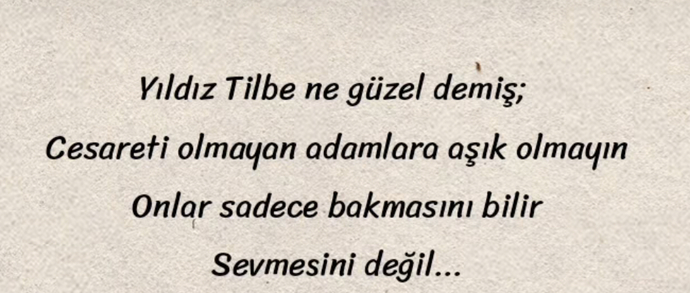 Siz hiç cesareti olmayan birine aşık oldunuz mu?