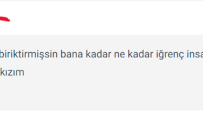 Sokak köpeği laftan anlar mı sizce?
