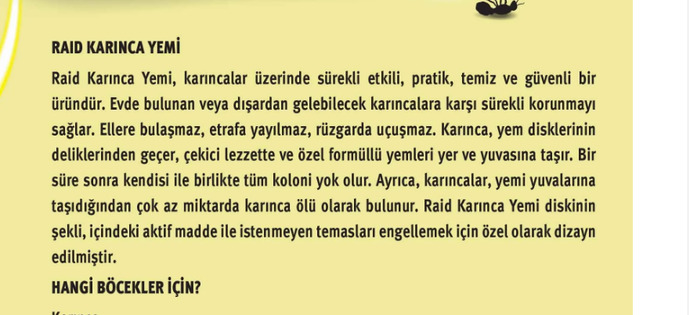 Mutfağı basan karıncalardan nasıl kurtulabilirim?