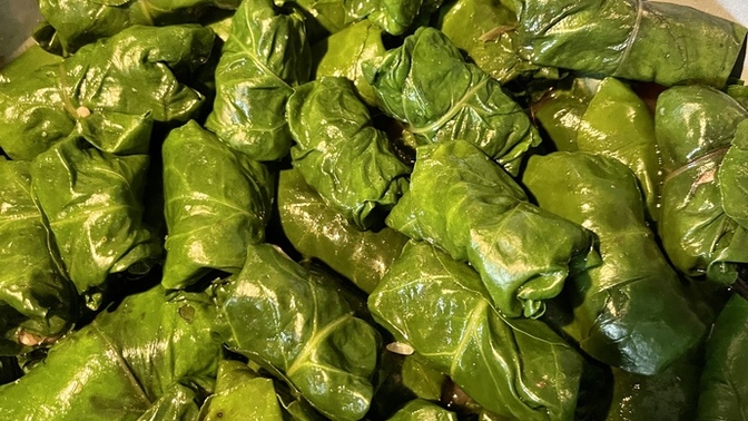 Pazı sarması denedin mi? Etli pazı sarması sever misin?