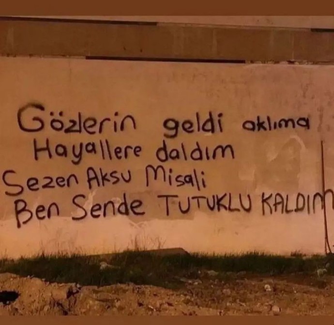 Herkesin görebileceği bir duvara yazı yazma şansınız olsaydı ne yazardınız?