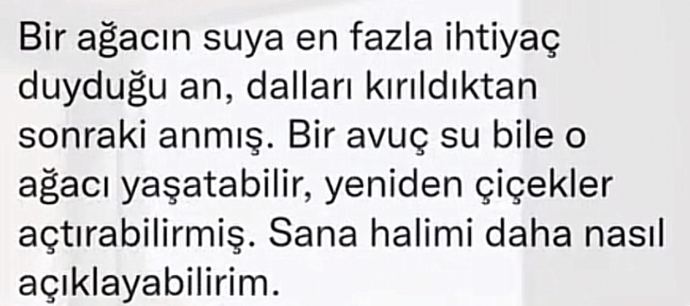 Dallarınız kırık mı sizin de?