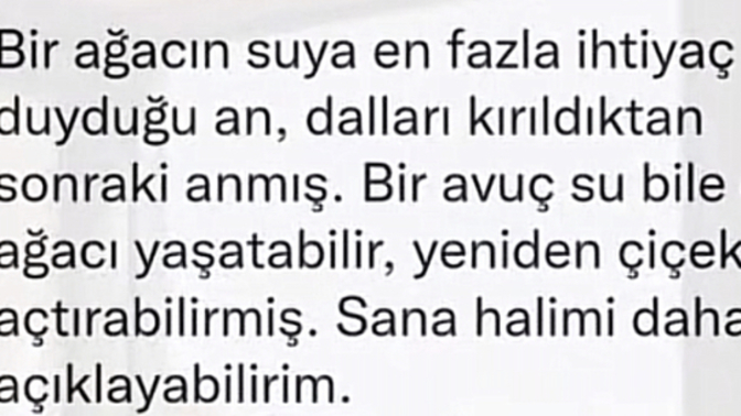 Dallarınız kırık mı sizin de?