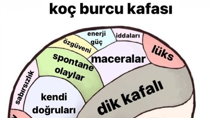 Koç burcu kafatası hakkında ne düşünüyorsunuz?
