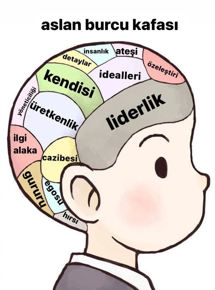 Aslan burcu kafatası hakkında ne düşünüyorsunuz?