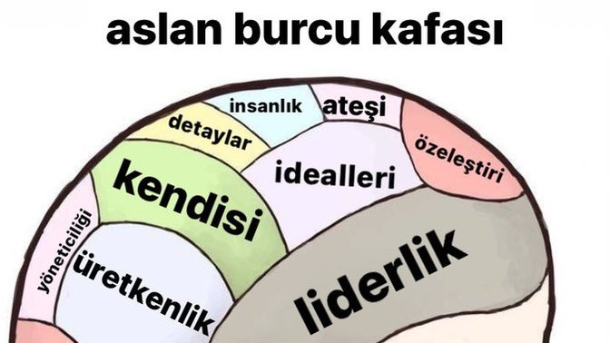 Aslan burcu kafatası hakkında ne düşünüyorsunuz?