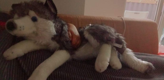 Sizin de uğur getiren, ya da kendinizi çok kötü hissettiğinizde ona sarılıp kendinizi iyi hissettiğiniz peluş oyuncağınız var mı ?