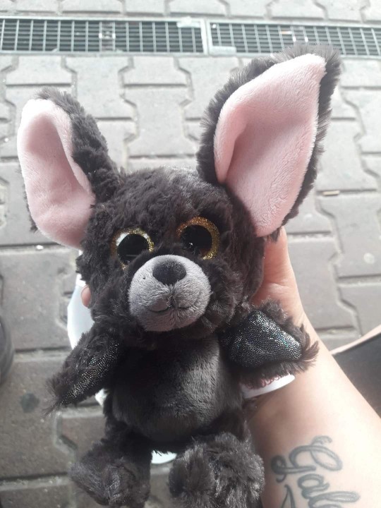 Sizin de uğur getiren, ya da kendinizi çok kötü hissettiğinizde ona sarılıp kendinizi iyi hissettiğiniz peluş oyuncağınız var mı ?