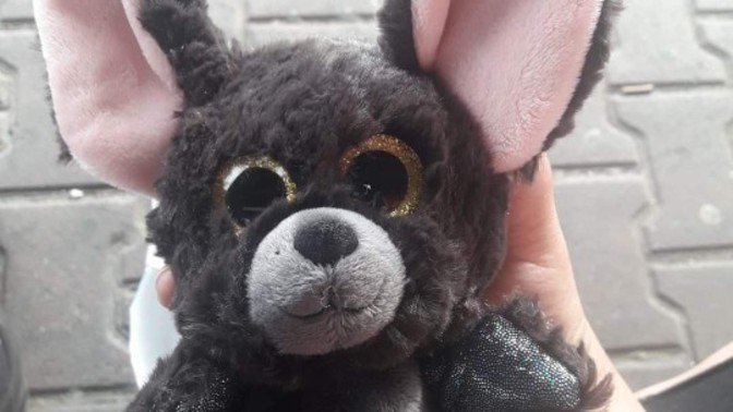Sizin de uğur getiren, ya da kendinizi çok kötü hissettiğinizde ona sarılıp kendinizi iyi hissettiğiniz peluş oyuncağınız var mı ?