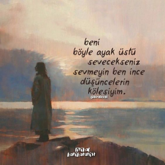 Ayaküstü sevecekler girmezdi yani 