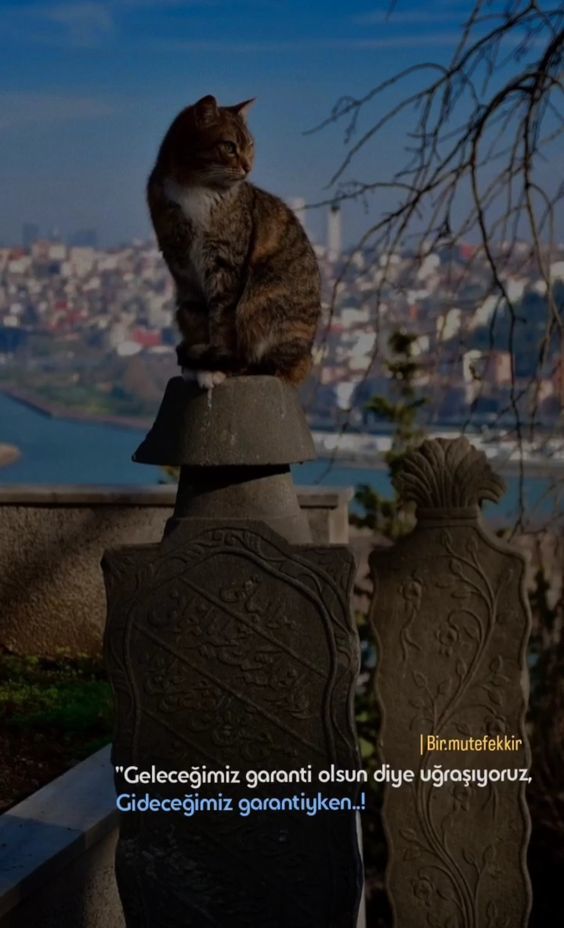 Kalbin de kanadın da kırılmasın