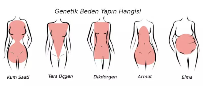 Vücut şekliniz ne?