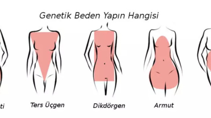 Vücut şekliniz ne?
