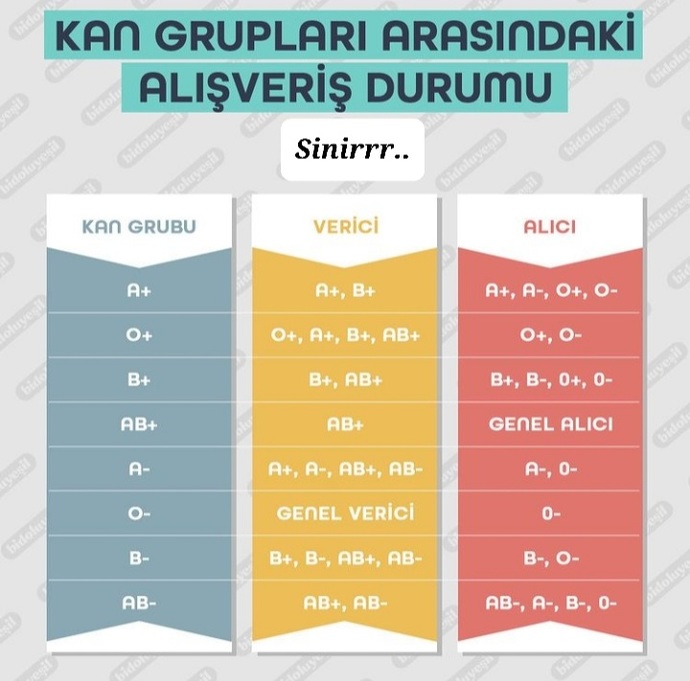 0rh+