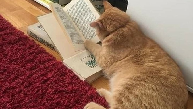 Okuduğun son kitap neydi?