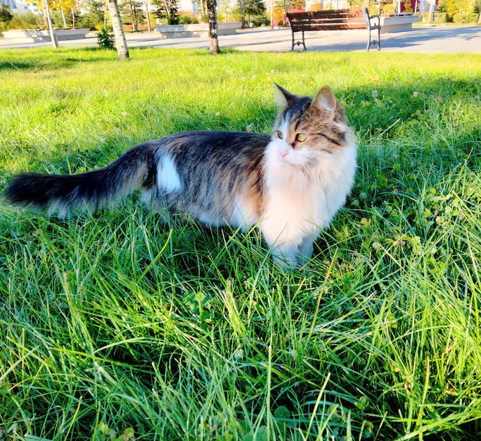 Galerinizde çektiğiniz en güzel manzara veya fotoğraf hangisi?