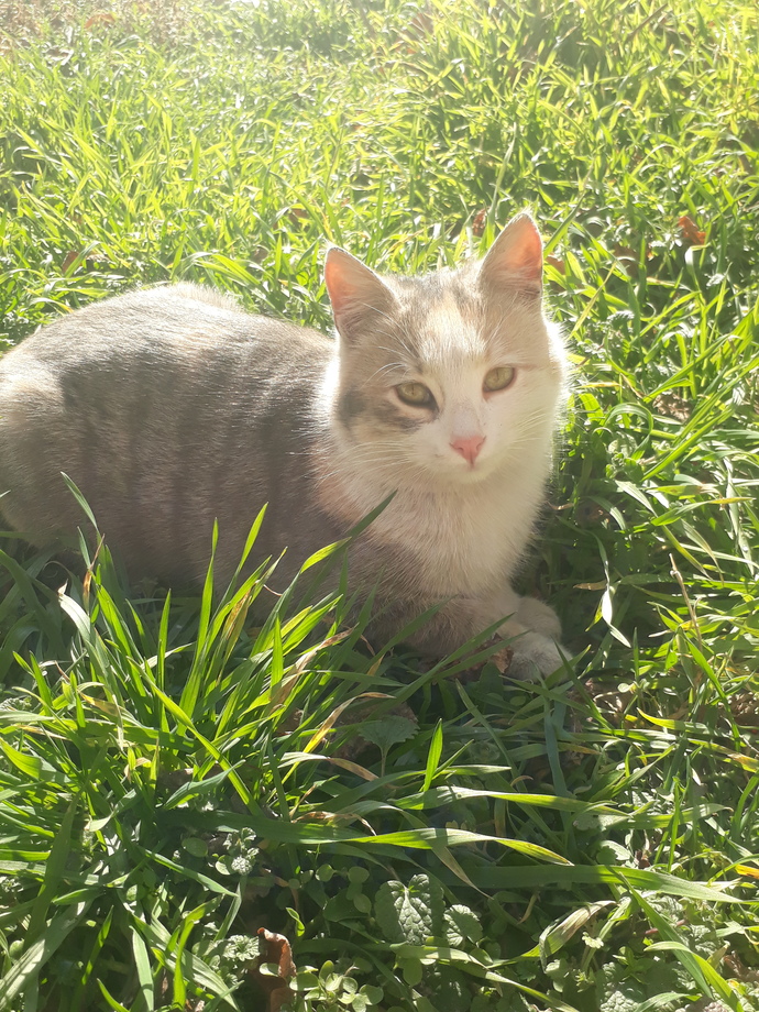 Galerinizde çektiğiniz en güzel manzara veya fotoğraf hangisi?