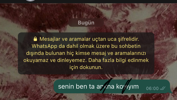 Biri size küfürlü mesaj atsa cevap verir misiniz?